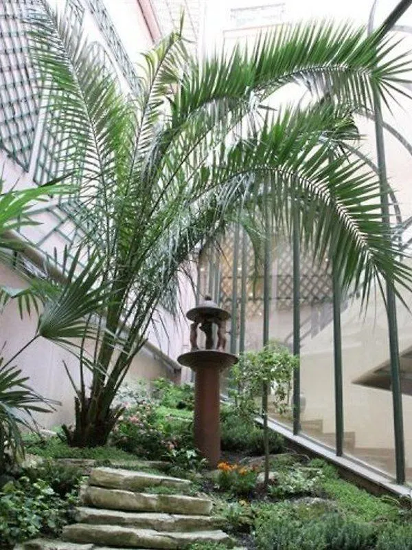 Hotel Moulin Plaza By Happyculture 3*